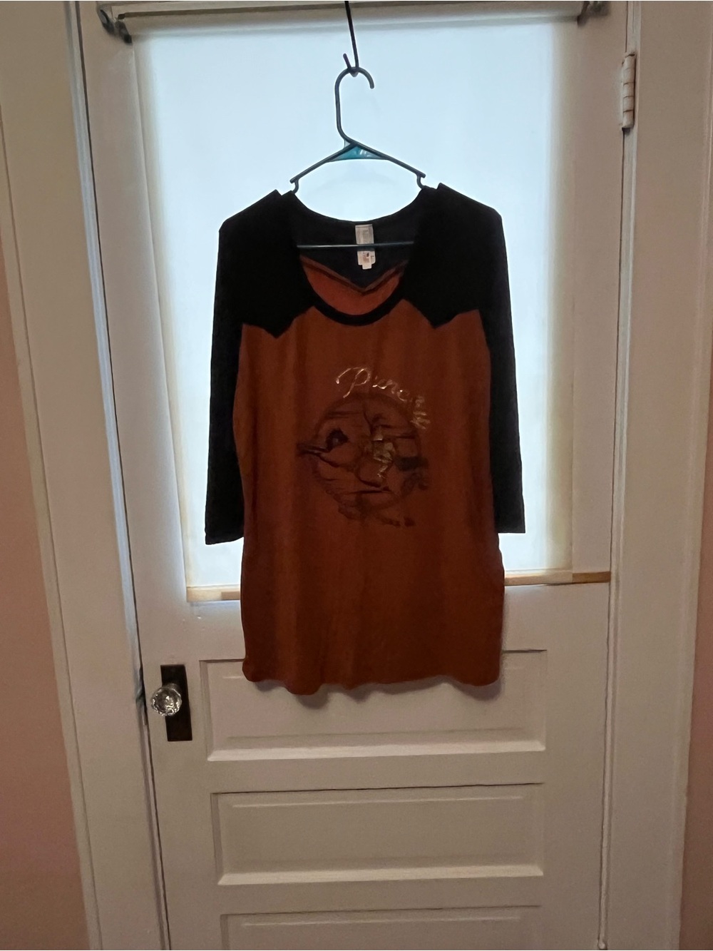 liberty Brown Body with Black Raglan Sleeve Graphic Tee